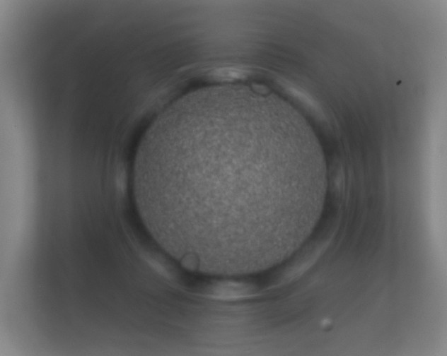 X0000112160315200908141240