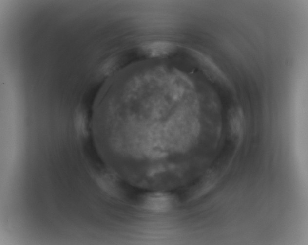 X0000112160316200908141240