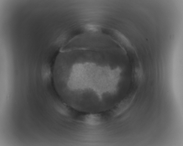 X0000112160320200908141239