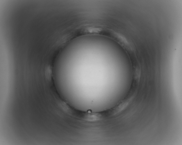 X0000112160321200908141239