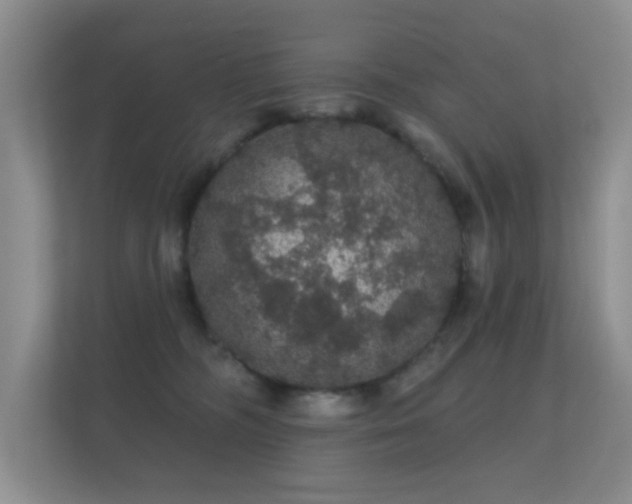 X0000112160326200908141239