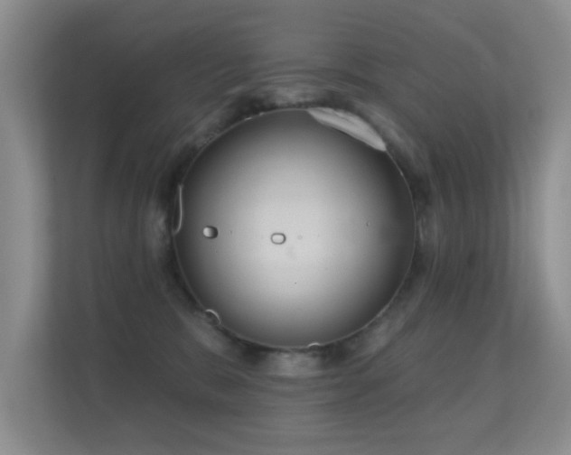 X0000112160327200908141239