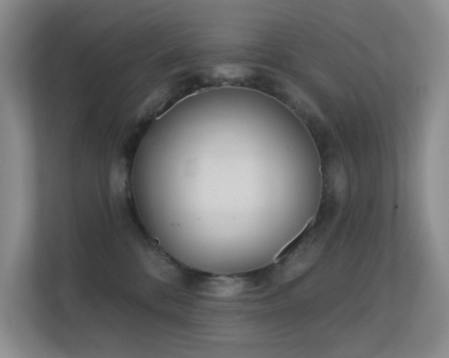 X0000112160328200908141239