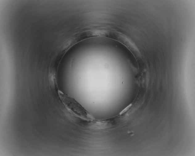 X0000112160329200908141239