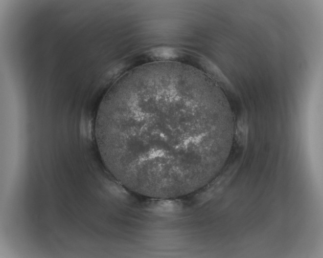 X0000112160330200908141239