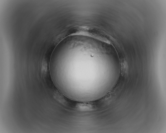 X0000112160331200908141239