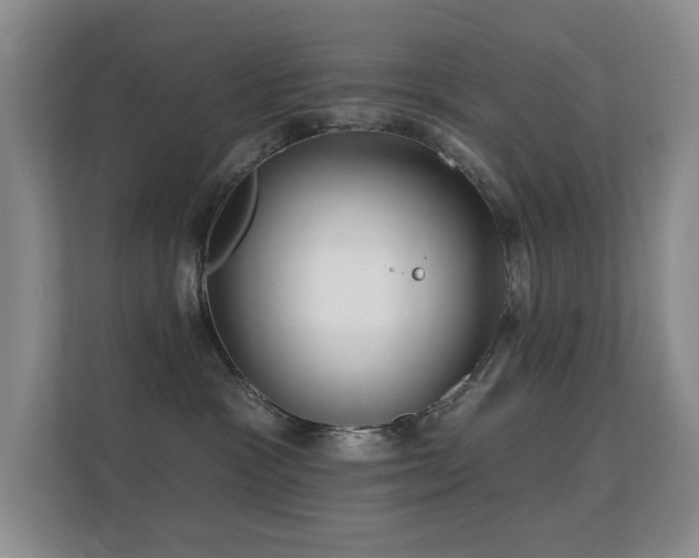 X0000112160333200908141239
