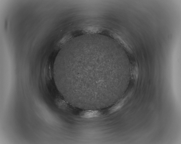X0000112160334200908141239