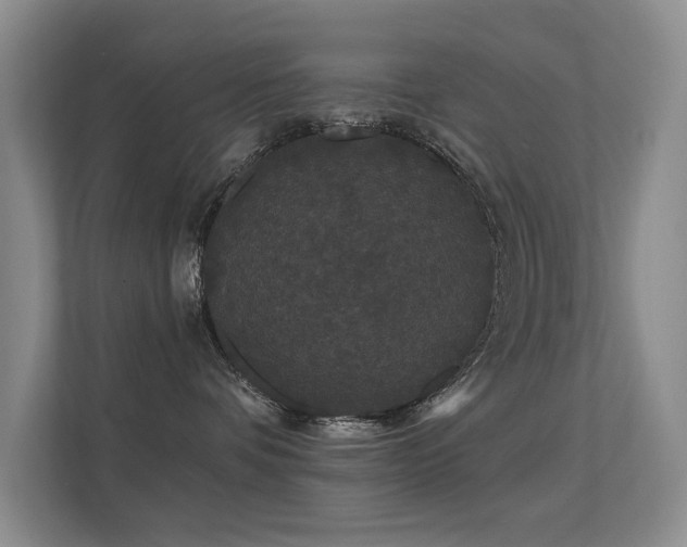 X0000112160336200908141239