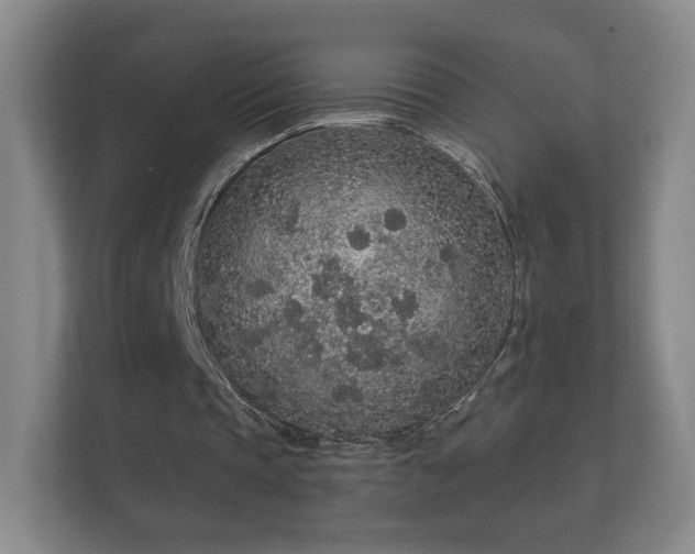 X0000112160337200908141239