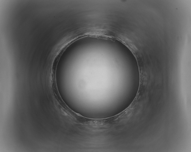 X0000112160338200908141239