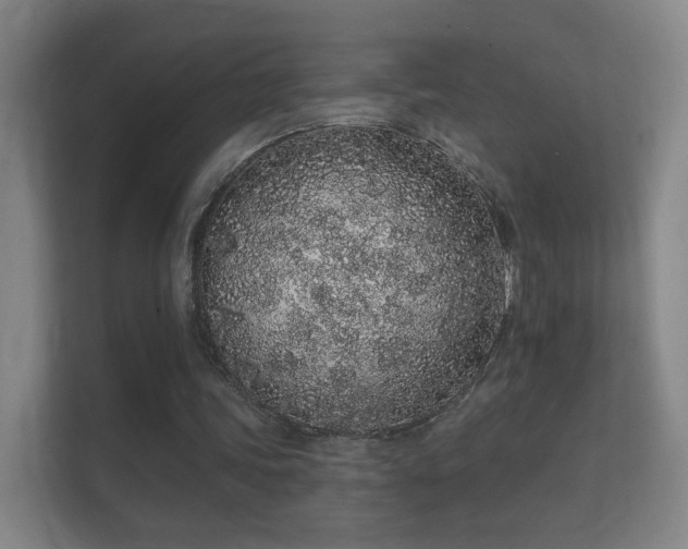 X0000112160339200908141239