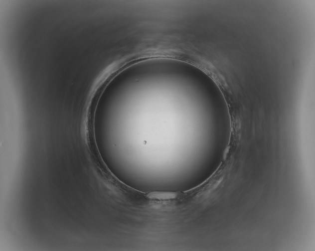 X0000112160340200908141239