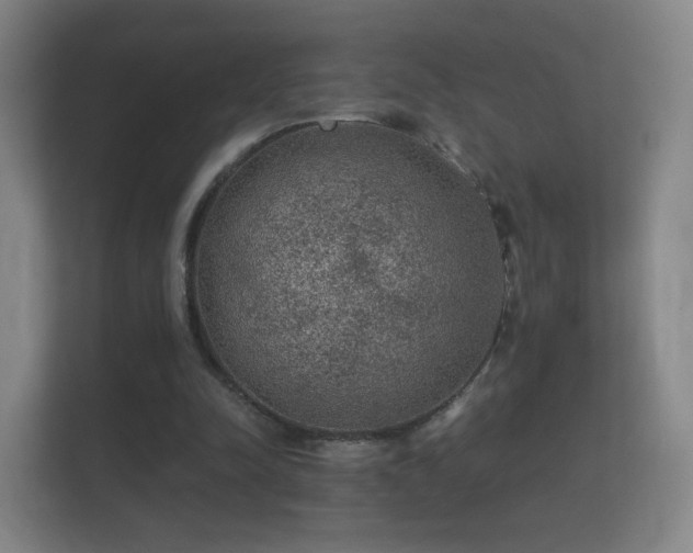 X0000112160342200908141239
