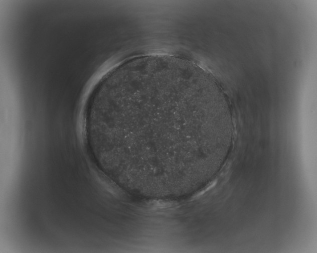 X0000112160343200908141239