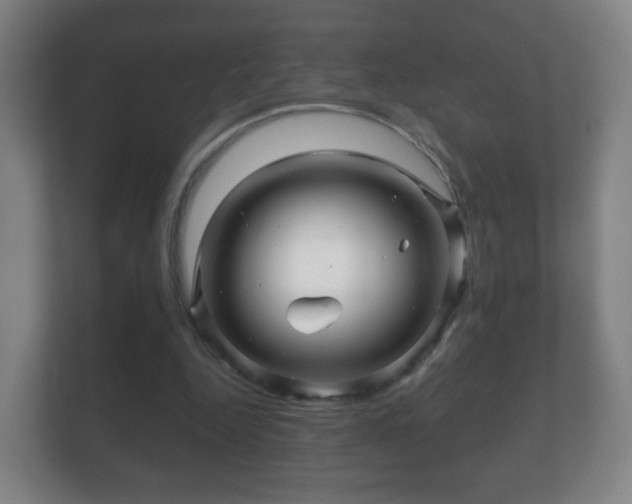 X0000112160344200908141239