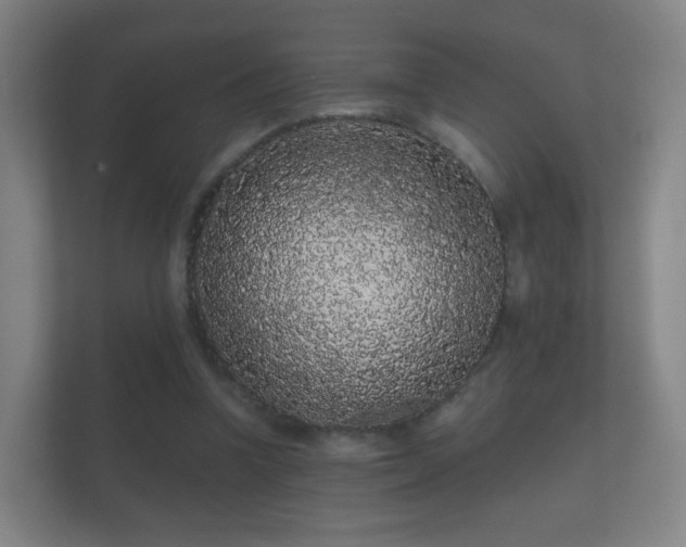 X0000112160346200908141239