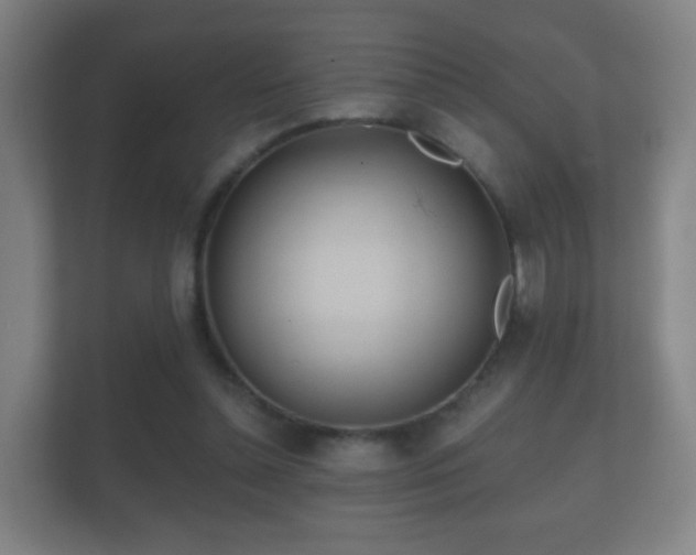 X0000112160348200908141239