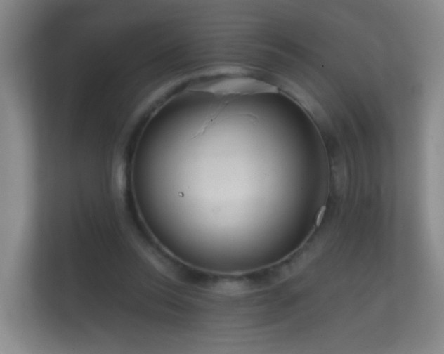 X0000112160350200908141239