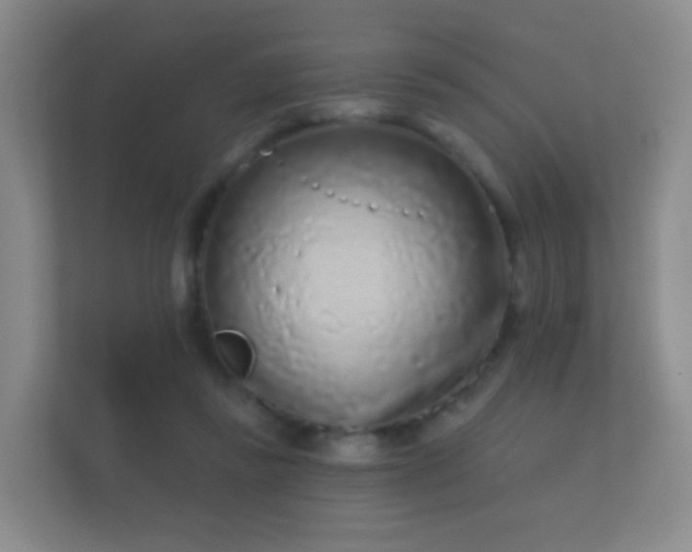 X0000112160355200908141239