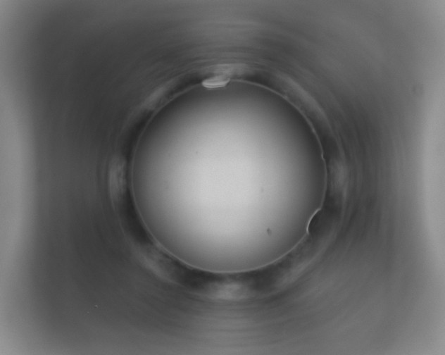 X0000112160356200908141239