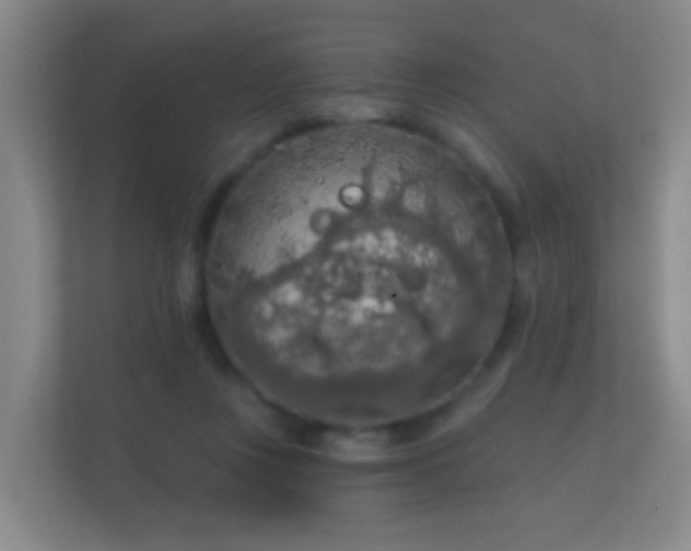 X0000112160359200908141239