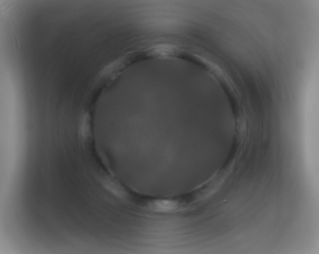 X0000112160361200908141239