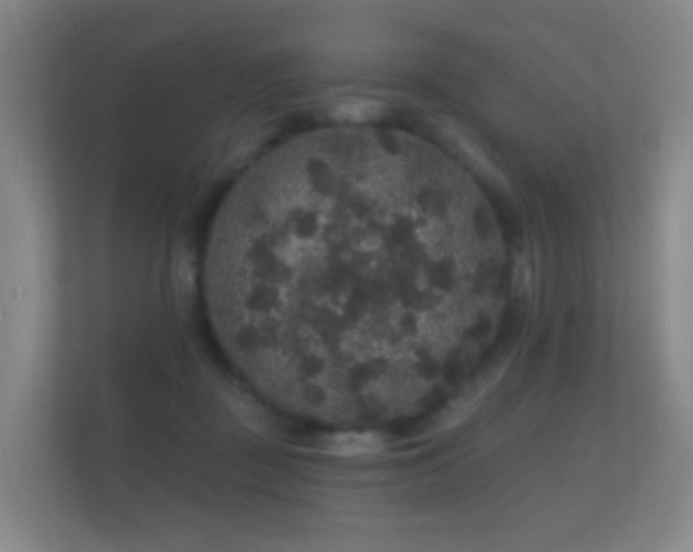 X0000112160363200908141239