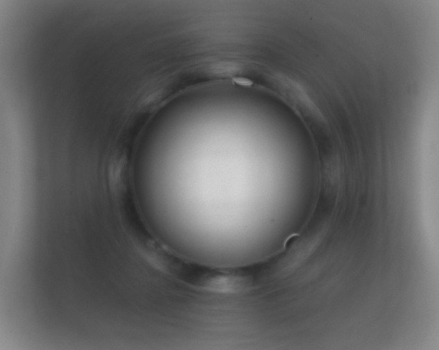 X0000112160364200908141239