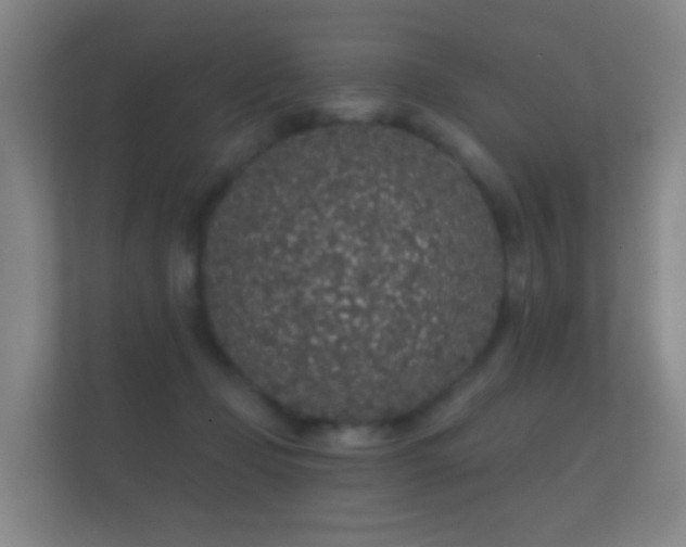 X0000112160365200908141239