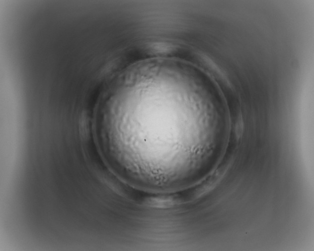 X0000112160366200908141239