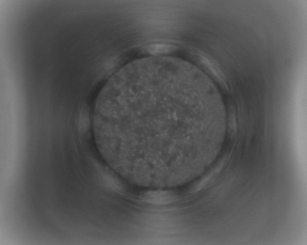X0000112160367200908141239