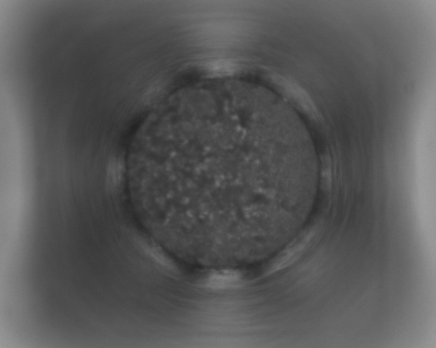 X0000112160369200908141239