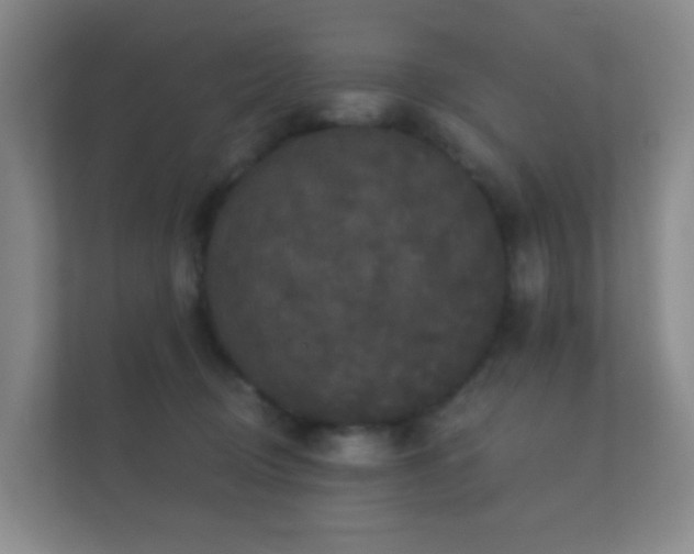 X0000112160370200908141239