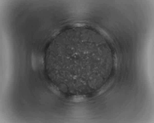 X0000112160373200908141239
