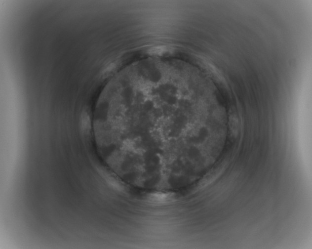 X0000112160375200908141239