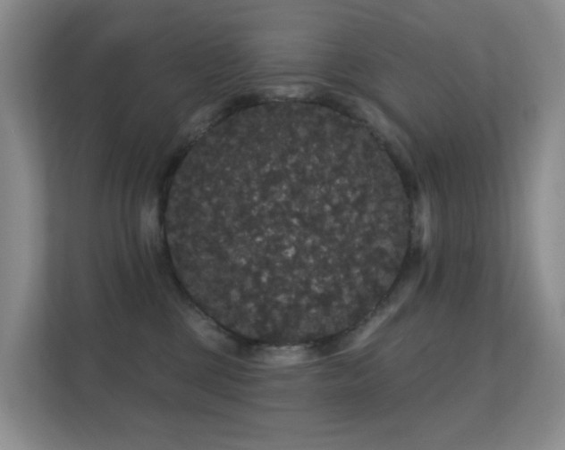 X0000112160377200908141239