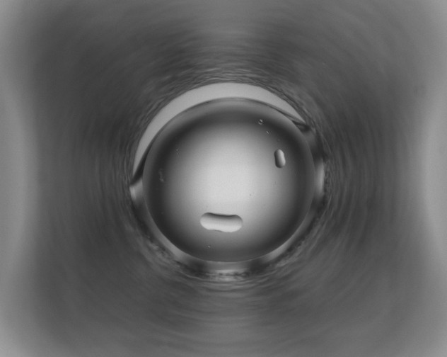 X0000112160380200908141239