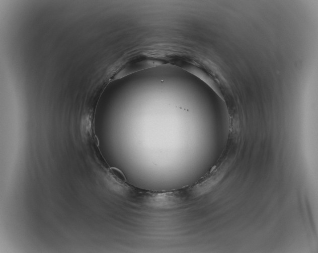 X0000112160382200908141239