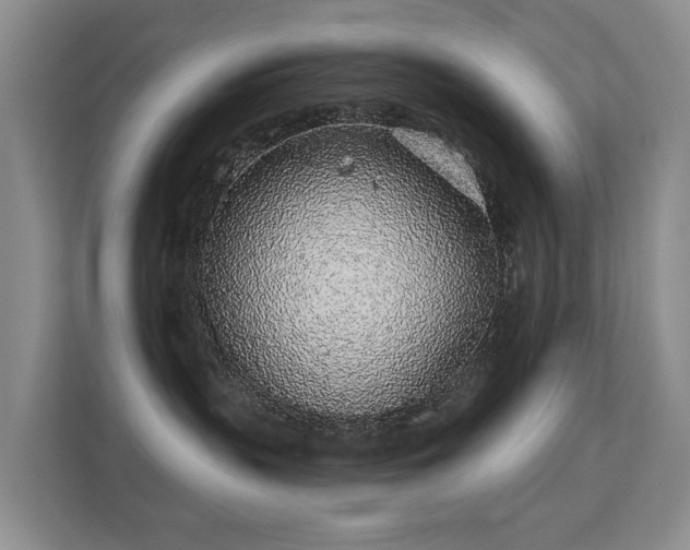 X0000112160383200908141239