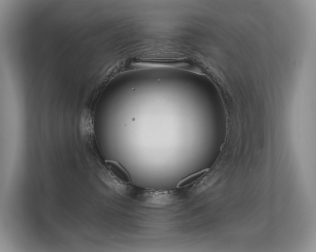 X0000112160384200908141239