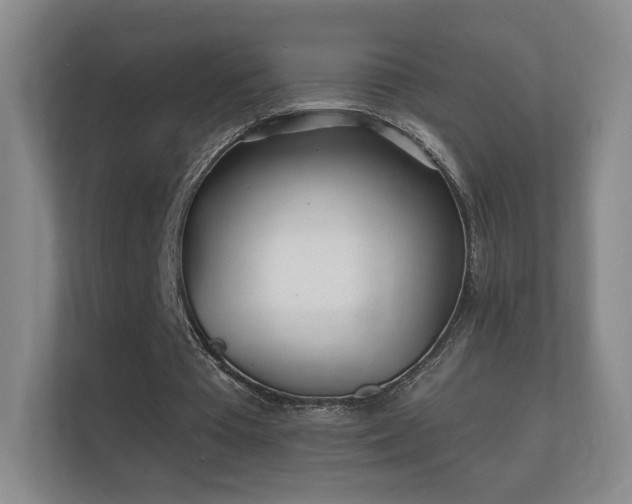 X0000112160385200908141239