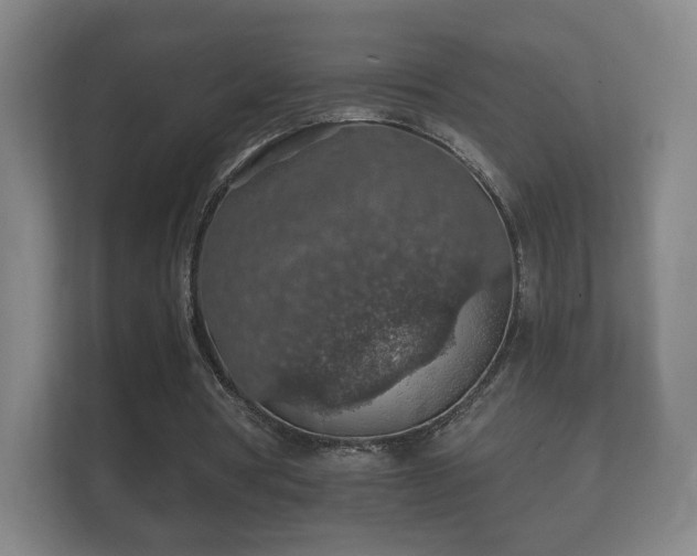 X0000112160386200908141239
