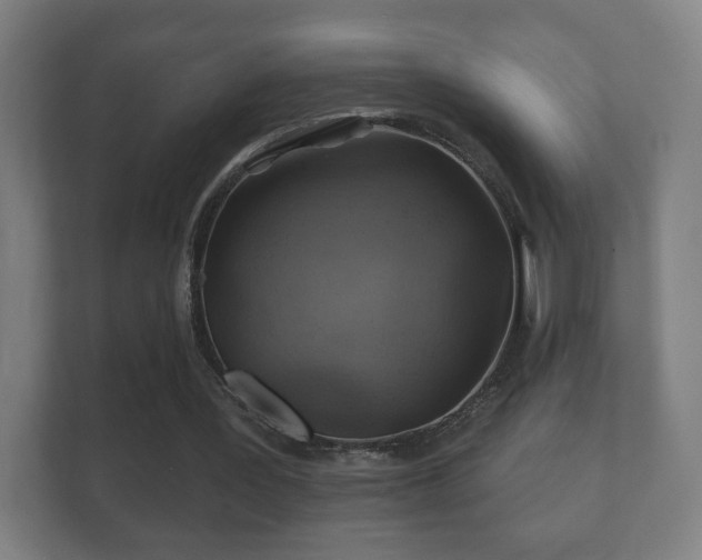 X0000112160387200908141239