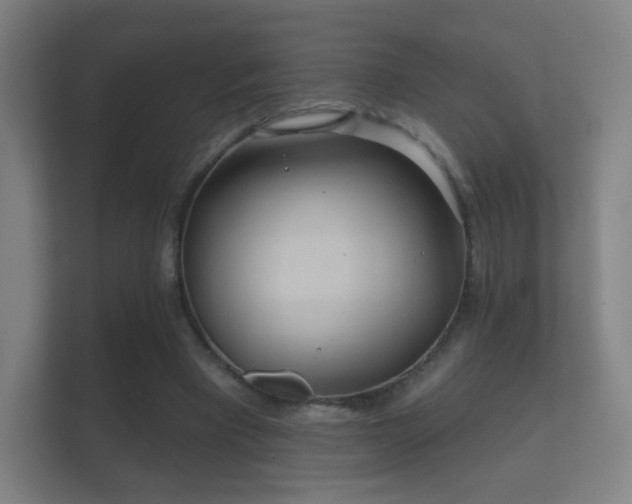X0000112160393200908141239