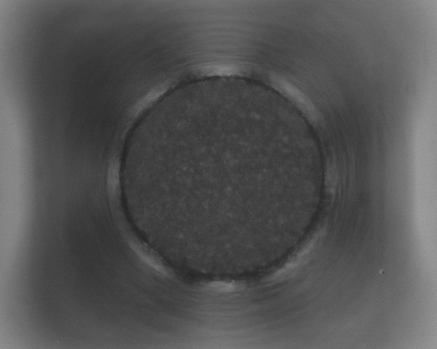 X0000112160394200908141239