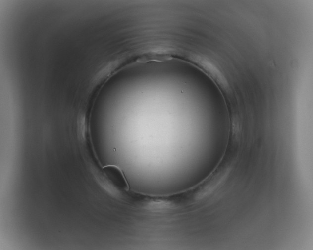 X0000112160397200908141238