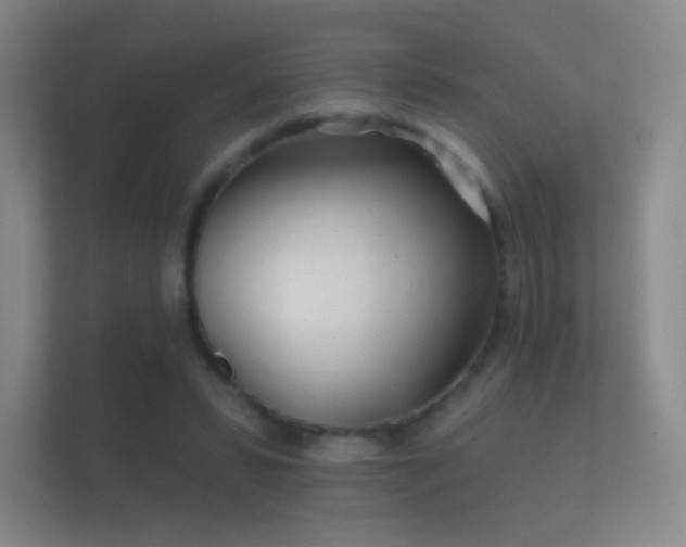 X0000112160399200908141238