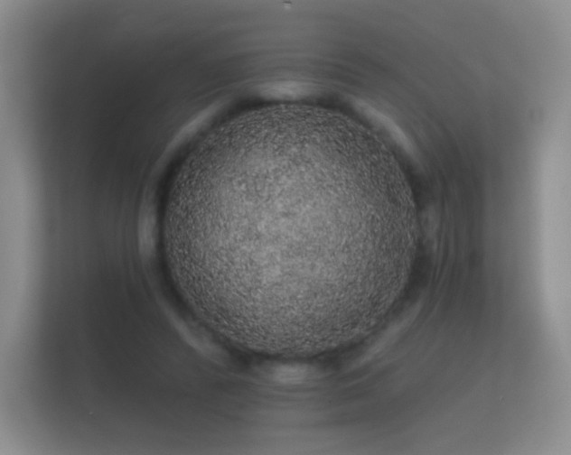 X0000112160400200908141238