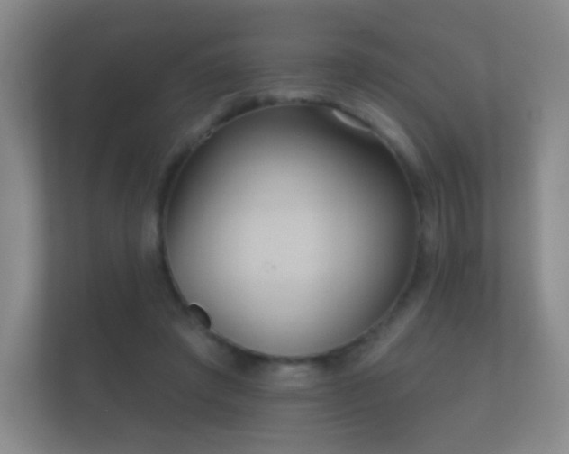 X0000112160401200908141238